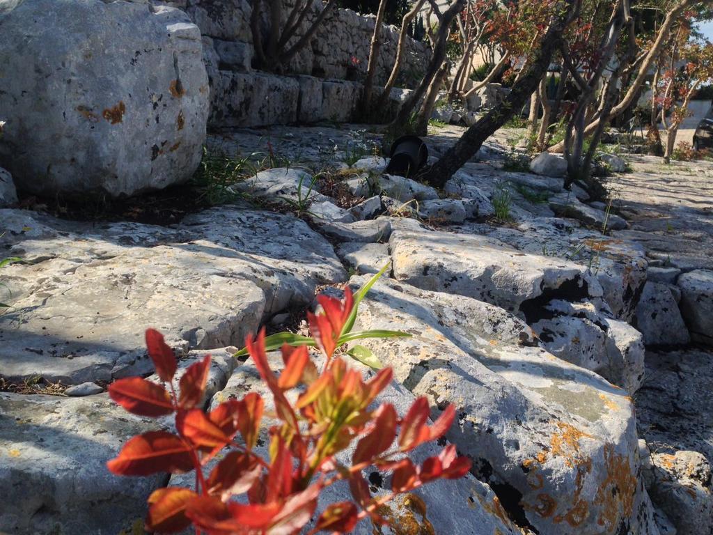 Villa Giuseppina Monopoli Exteriér fotografie